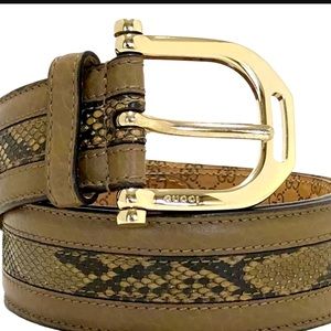 Gucci belt leather and python